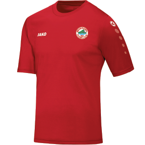 Adult JAKO Melvin Rovers FC Jersey Team S/S ME4233