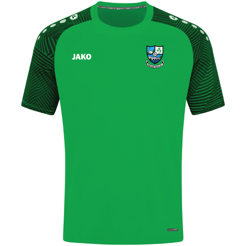 Adult JAKO Banagher United T-shirt Performance BAU6122