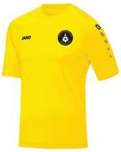 Load image into Gallery viewer, Adult JAKO Caherconlish AFC Jersey CAH4233