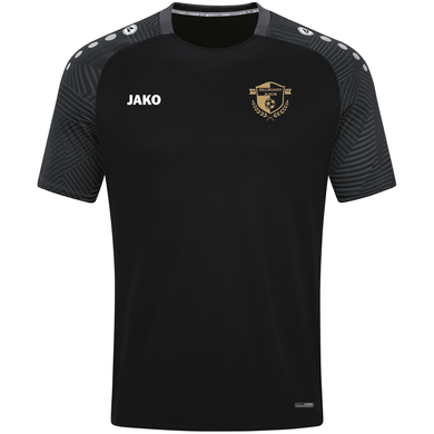 Kids JAKO Ballingary Albion T-shirt Performance BA6122K