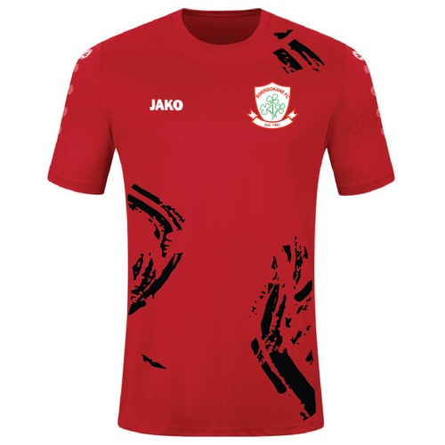 Adult JAKO Borrisokane FC Jersey Team S/S BK4233