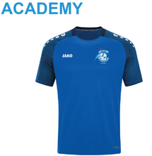 Load image into Gallery viewer, Adult JAKO Ballyvary Blue Bombers Academy Performance T-Shirt BBB6122