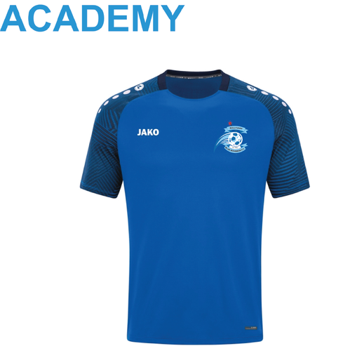 Adult JAKO Ballyvary Blue Bombers Academy Performance T-Shirt BBB6122