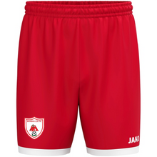 Load image into Gallery viewer, Adult JAKO Bansha Celtic Shorts One BC4420