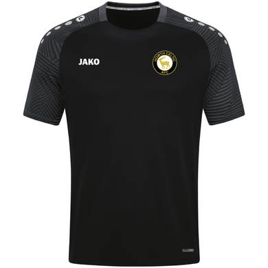 Adult JAKO Howth Celtic T-shirt Performance HC6122