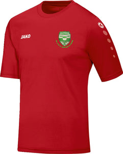 CRESTED SALES ITEMS - Adult JAKO Sallynoggin Jersey Team 4233