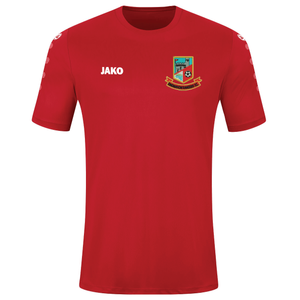 Adult JAKO Ringmahon Rangers Jersey Team S/S RM4233