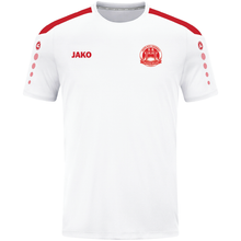 Load image into Gallery viewer, Adult JAKO Shito-Ryu Shukokai Karatedo Ireland Jersey Power SRSK4223
