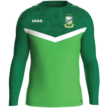 Load image into Gallery viewer, Adult JAKO Ballyheane AFC Sweater Iconic BH8824