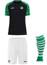 Load image into Gallery viewer, ADULT JAKO Nenagh Celtic FC Player Pack NE1112