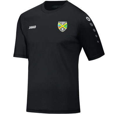 CRESTED SALES ITEMS - Adult JAKO CT Gaels Jersey Team 4233
