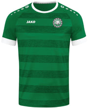 Load image into Gallery viewer, Kids JAKO Ballymote Celtic Jersey BCK4214