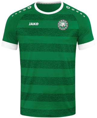 Adult JAKO Ballymote Celtic Jersey BC4214