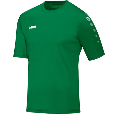 Adult JAKO Ballinode Community College Jersey Team S/S BCC4233