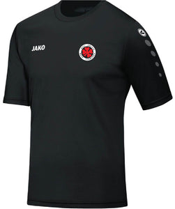 Adult JAKO Kill Celtic FC Jersey Team S/S KC4233