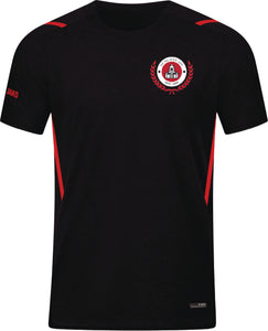 Adult JAKO Dunlavin AFC T-shirt Challenge DLV6121