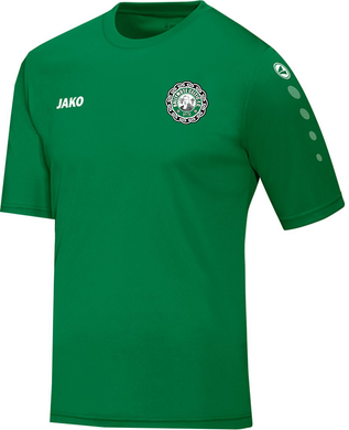 ADULT JAKO BALLYMOTE CELTIC TRAINING JERSEY BC4233