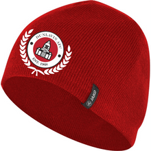 Load image into Gallery viewer, JAKO Dunlavin AFC Beanie DLV1223