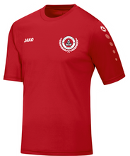 Load image into Gallery viewer, Adult JAKO Dunlavin AFC Training Jersey DLV4233