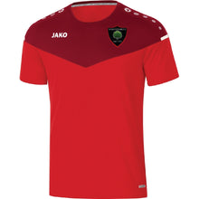 Load image into Gallery viewer, Adult JAKO Willow Park FC T-shirt WPK6120