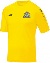 Load image into Gallery viewer, Adult JAKO Sky Valley Rovers Training Jersey SVR4233